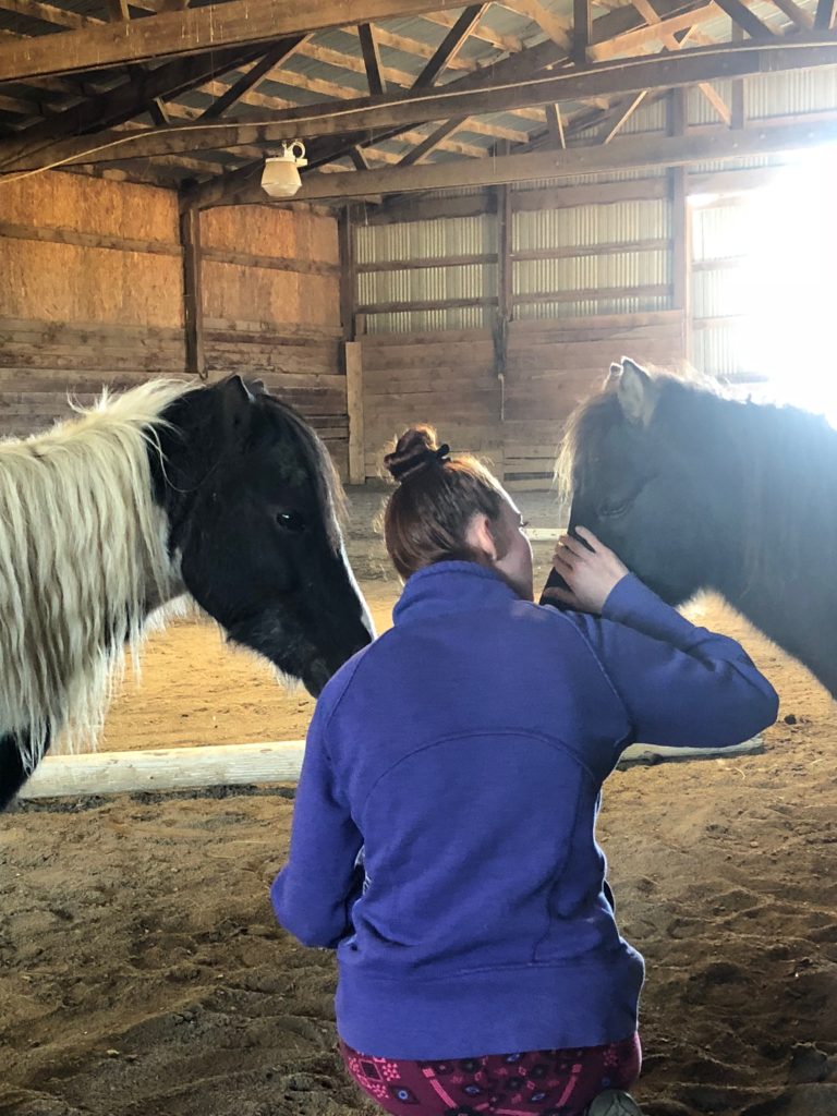 Helping Hands Healing Sanctuary to host Equine Therapy Fundamentals  Training!!